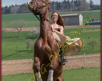 1AMAZONE- 0563